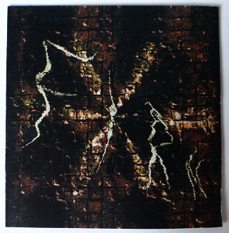 Firn Night Forest - Cover front